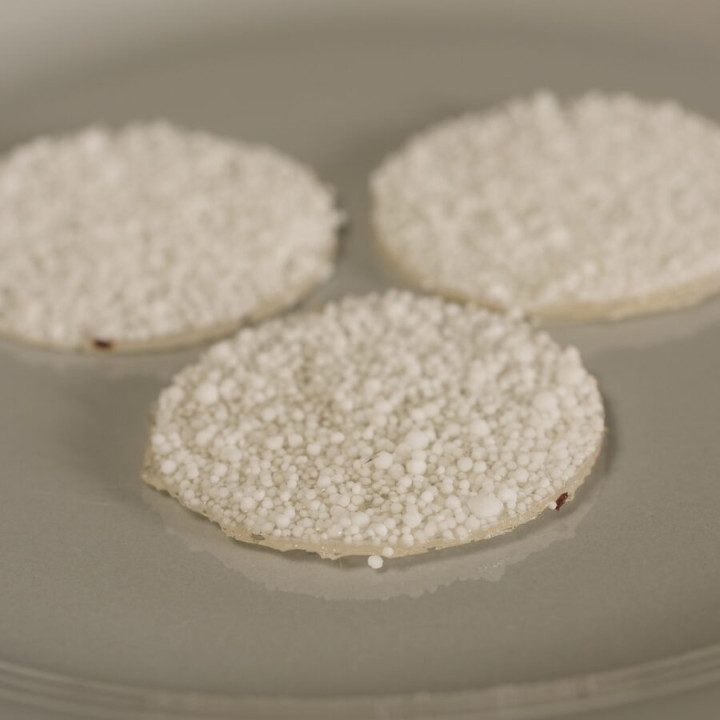 Forma silikonowa SILMAE Round Chablon Ø 35 mm — 400X300