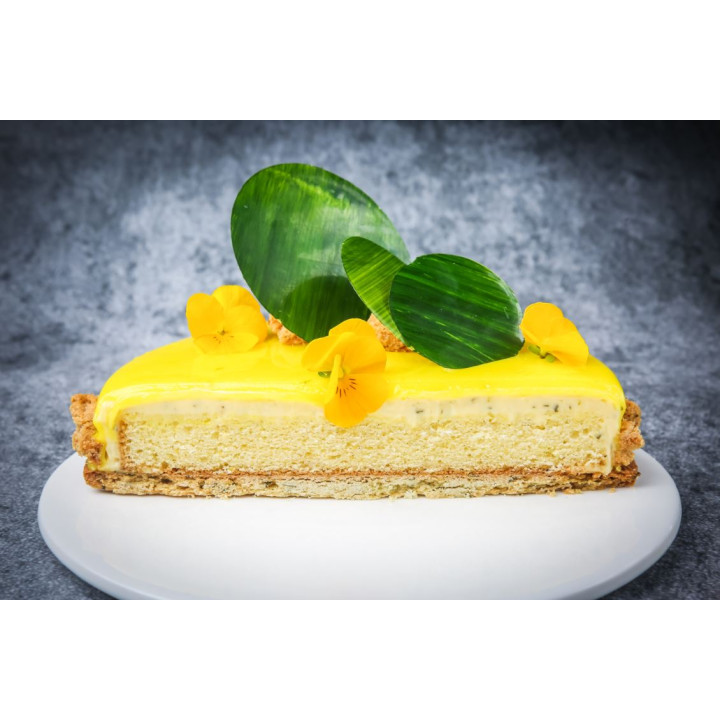 Forma silikonowa SILMAE Manque Ø 195X38 mm — forma indywidualna