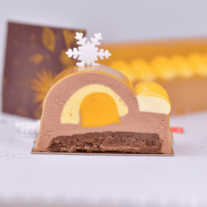 Forma silikonowa SILMAE Buche 550X65X44 mm — 400X600