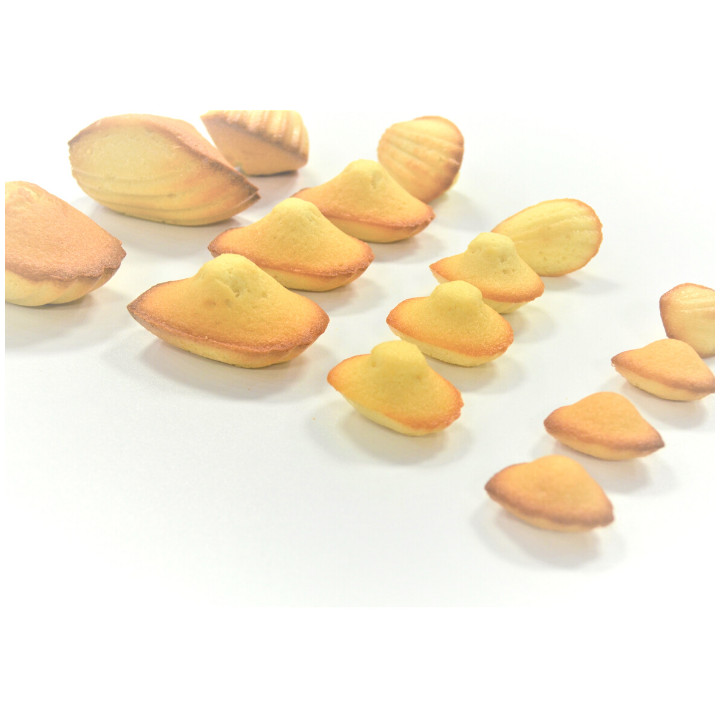 Forma silikonowa SILMAE Madeleine 42×30×10 mm — 400×600