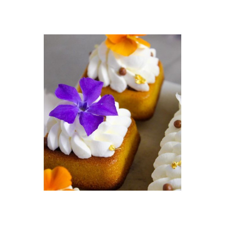 Forma silikonowa SILMAE Square Savarin Ø 70X70X29 mm — 400X600