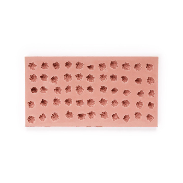 Forma silikonowa SILMAE Raspberries Ø12X10 mm — 190X100