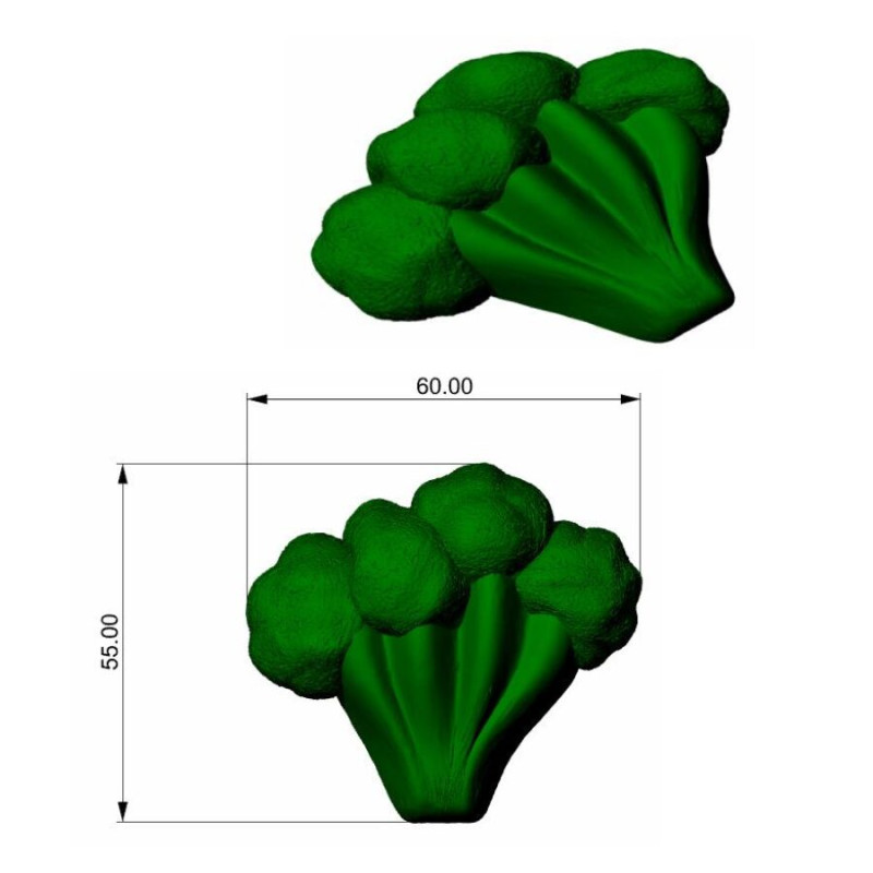 Forma silikonowa SILMAE forma na brokuł detal gniazda